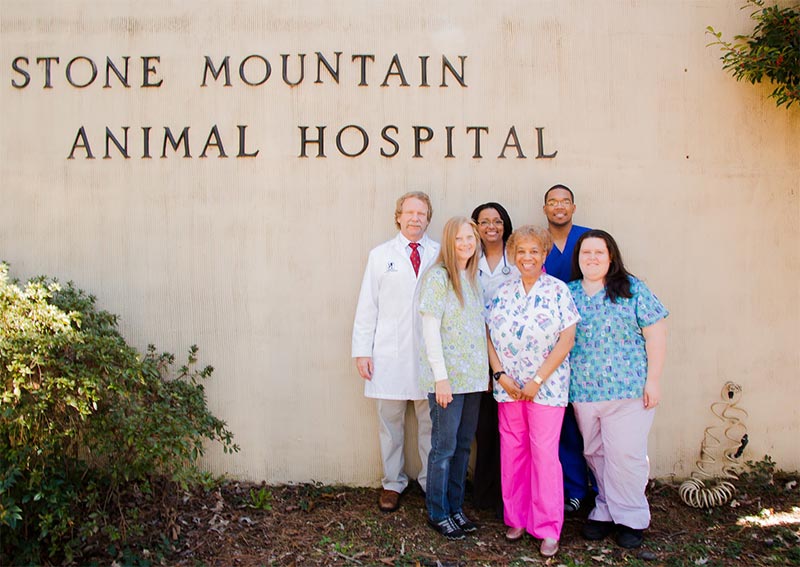 to Stone Mountain Animal Hospital